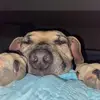 Sandy.Mercer.15 - @sandy.mercer.15 - TikTok