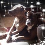 Sandy Mercier - @sandy.mercier.50 - Instagram