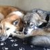 Sandy Meredith - Facebook