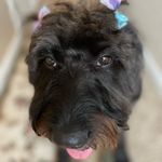 Sandy Merideth - @sandrakay2013 - Instagram