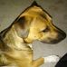Sandy Merryman - Facebook