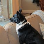Sandy Messer - @tamarack2008 - Instagram