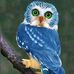 Sandy Messina - Facebook