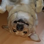 Sandy Meyer - @sandy.meyer.33 - Instagram