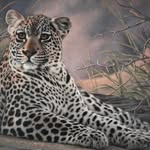 Sandy Meyer - @sandy.meyer.1804 - Instagram