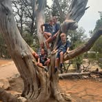 Sandy Meyer - Facebook