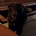 Sandy Michaels - @sandy.michaels53 - Instagram