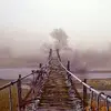 Sandy Mick - @sandy.mick - TikTok