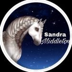 𝐒𝐚𝐧𝐝𝐫𝐚 𝐌𝐢𝐝𝐝𝐥𝐞𝐭𝐨𝐧 - @sandra__middleton - Instagram
