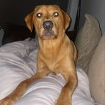 Sandyboyjunior - @san.dymillar - Instagram