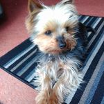 Sandra Millard - @sandra.millard.167 - Instagram