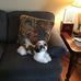 Sandy Millard - Facebook