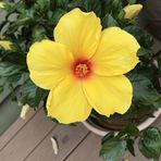 Sandie Minor - Facebook