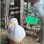 Sandy D Minor - Facebook