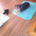 Sandy Minor - Facebook