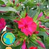 Sandy Minton - @sandy.minton3 - TikTok
