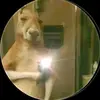 SÁNDRA RAMIREZ - @sandymirez - TikTok