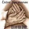 sandymireles1425 - @sandymireles1425 - TikTok