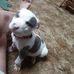 Sandy Mize - Facebook