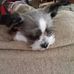 Sandy Moeller - Facebook