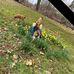 Sandy Moffatt - Facebook