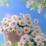 Sandy Mohammad - @san.96.dy.29 - Instagram