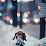 Sandy Mohammad - @sandymohammad44 - Instagram