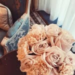 Sandy Mohammad - @sandymohammad6 - Instagram