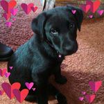 Sandy Mohr - @smohr0406 - Instagram