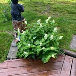 Sandy Mohr - @smohr1 - Instagram