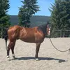 Sandy Mohr - @sandymohr1 - TikTok