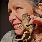 Sandy Mohr Sayre - @acornrecipes - Instagram