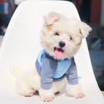 sandy money - @25.2947886 - Instagram