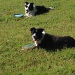 Sandy Montgomery - @montgomerysandy41 - Instagram