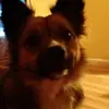sandymontgomery19 - @sandymontgomery19 - TikTok