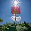 Sandy Monzalvo - @sandy.monzalvo - TikTok
