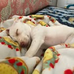 Sandy Moon Basile Payack - @nurselisa42 - Instagram
