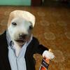 Sandy Morel - @sandy.morel63 - TikTok
