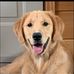 Sandy Morley - Facebook