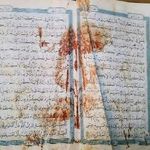 Sandy Morse - @mujahidinaw - Instagram