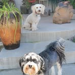 Sandy Mortensen - Facebook