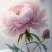 Sandy Mosby Neel - Facebook