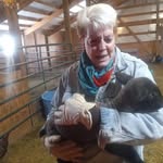 Sandy Moser - @sandymoser1958 - Instagram