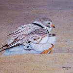 Sandy Moser Art - @sandymoserart - Instagram