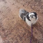 Sandy Frost Mosley - @mosley8026 - Instagram