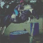 Debry Wenning - @sandymotemnf - Instagram