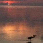 Sandy Moyer - @sandy7638 - Instagram