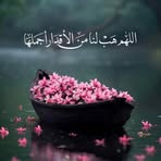 Sandy Muhammad - Facebook