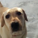 Sandy101 - @sandy_mullin - Instagram