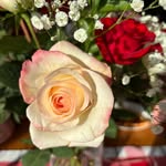 Sandy Mullen - @sandy_g_mullen - Instagram